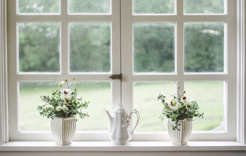 white windows with plants