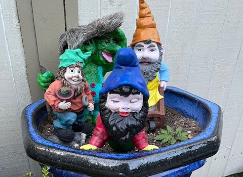 group of gnomes in planter