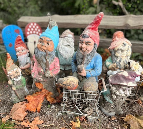 group of pipe smoking gnomes