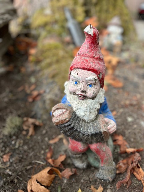 gnome leader