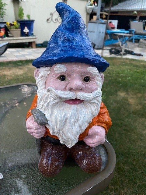old and wise gnome