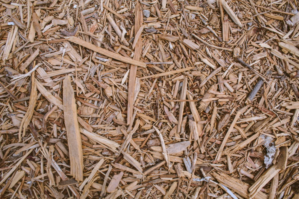 wood chips up close