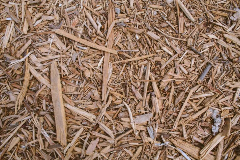 wood chips up close